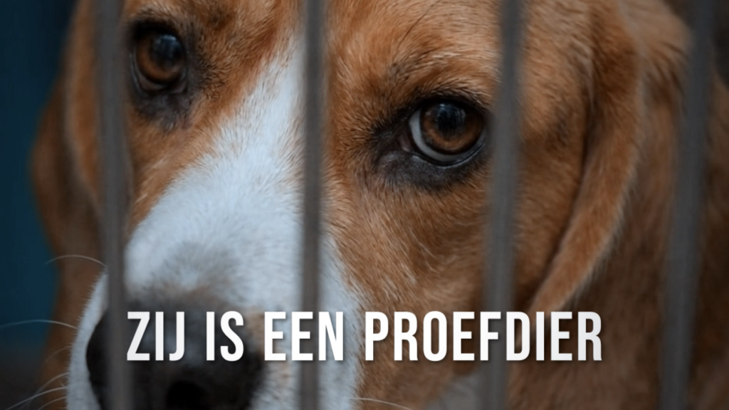 Proefdiervrij — 1 op de 8 social campagne